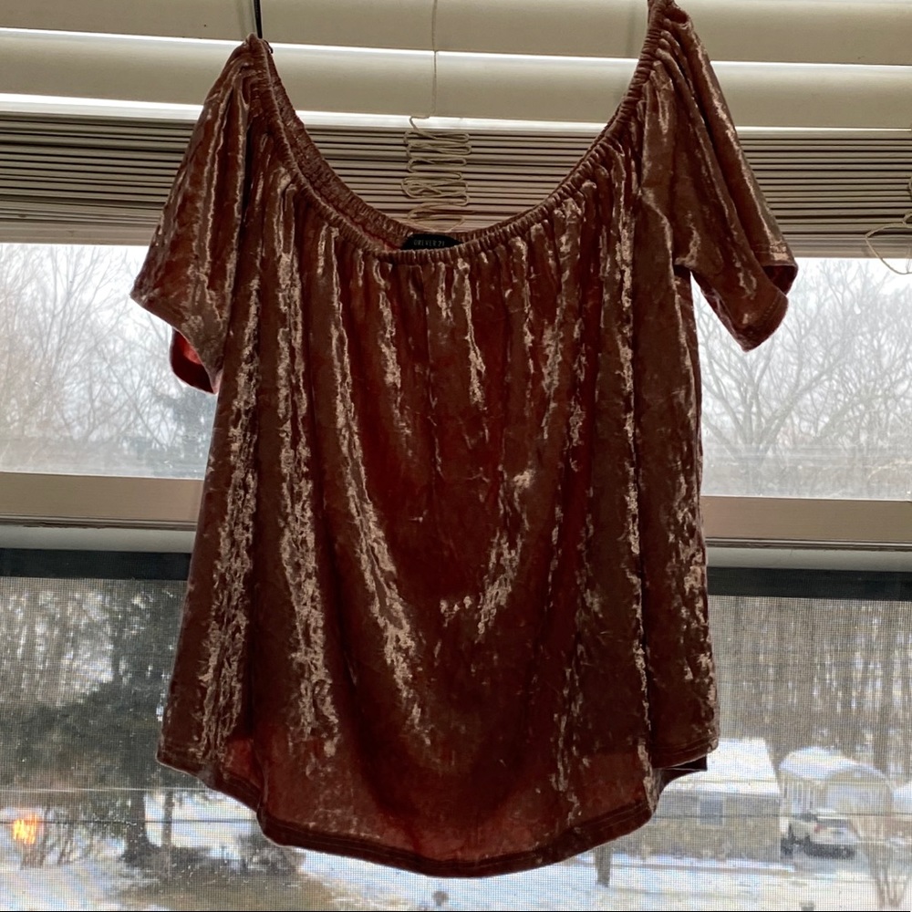 Off the shoulder crushed velvet short sleeve top
